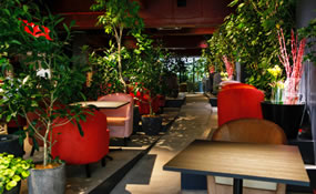 GREEN HOUSE Wald