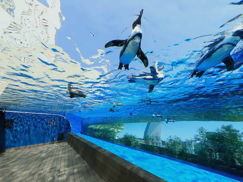 サンシャイン水族館