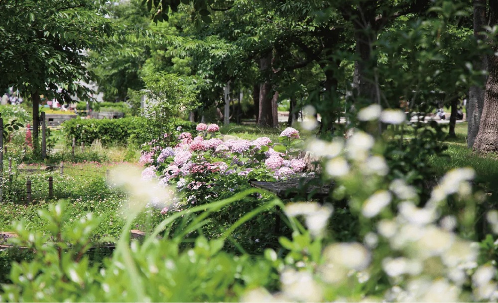 万領中央公園