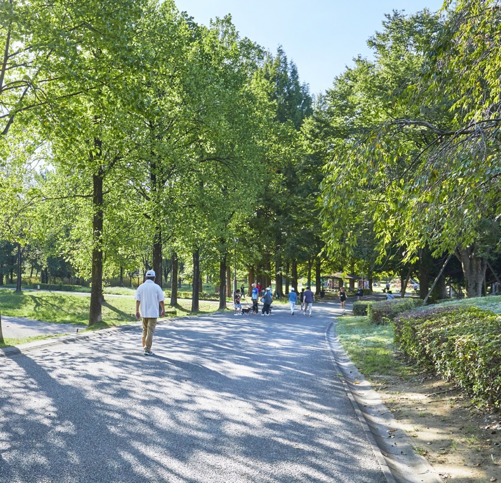 三橋総合公園