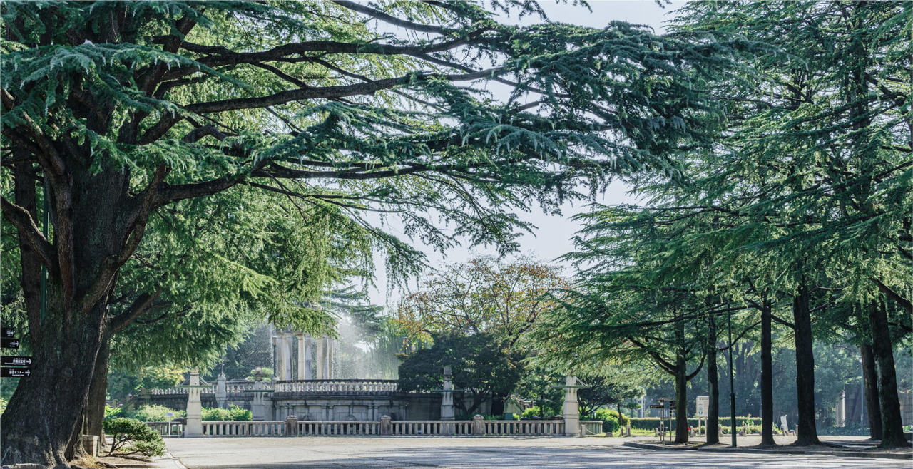 鶴舞公園