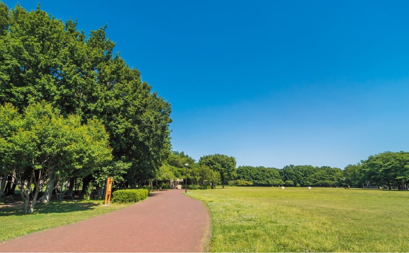 都立東村山中央公園