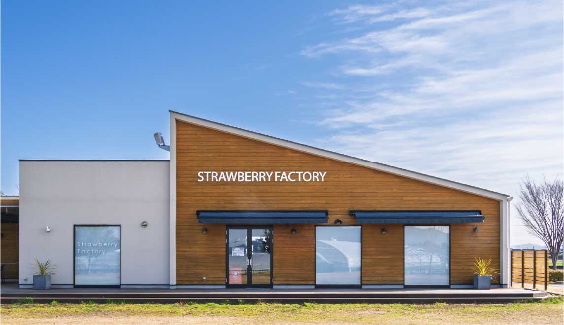 Strawberry Factory