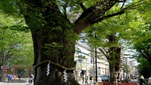 大國魂神社参道入口
