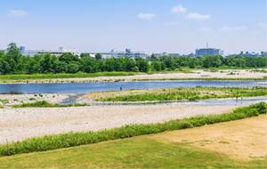 多摩川緑地