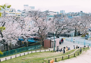 加賀公園