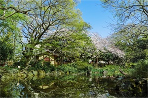 名主の滝公園