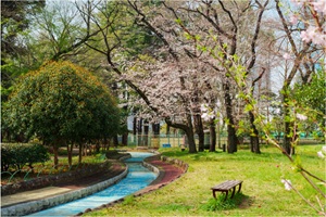 北区立中央公園