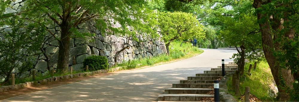 舞鶴公園