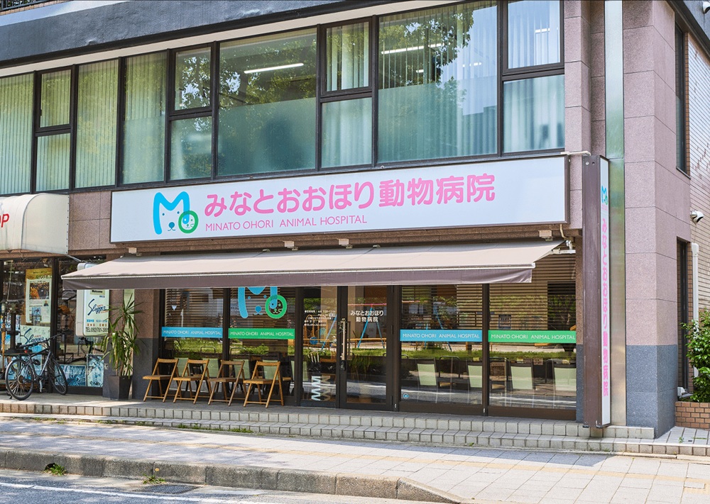 みなとおおほり動物病院