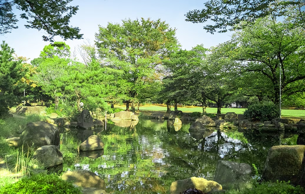 蕨市民公園