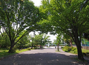 横山公園