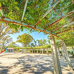 南流山9号公園