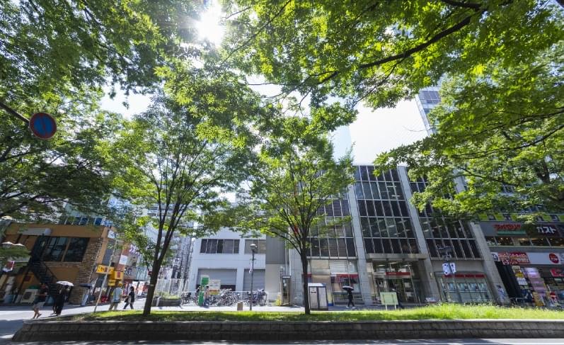 馬場大門のけやき並木