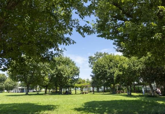 府中郷土の森公園