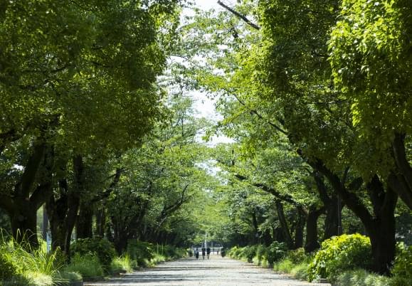 府中の森公園