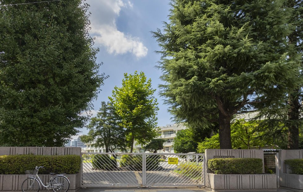 府中第一小学校【通学指定校】