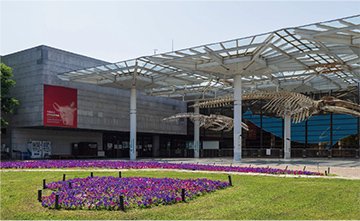 大阪市立自然史博物館
