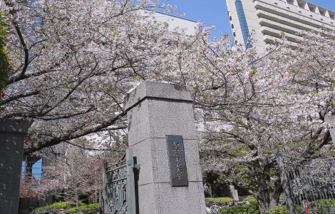 名古屋市立大学（川澄キャンパス）