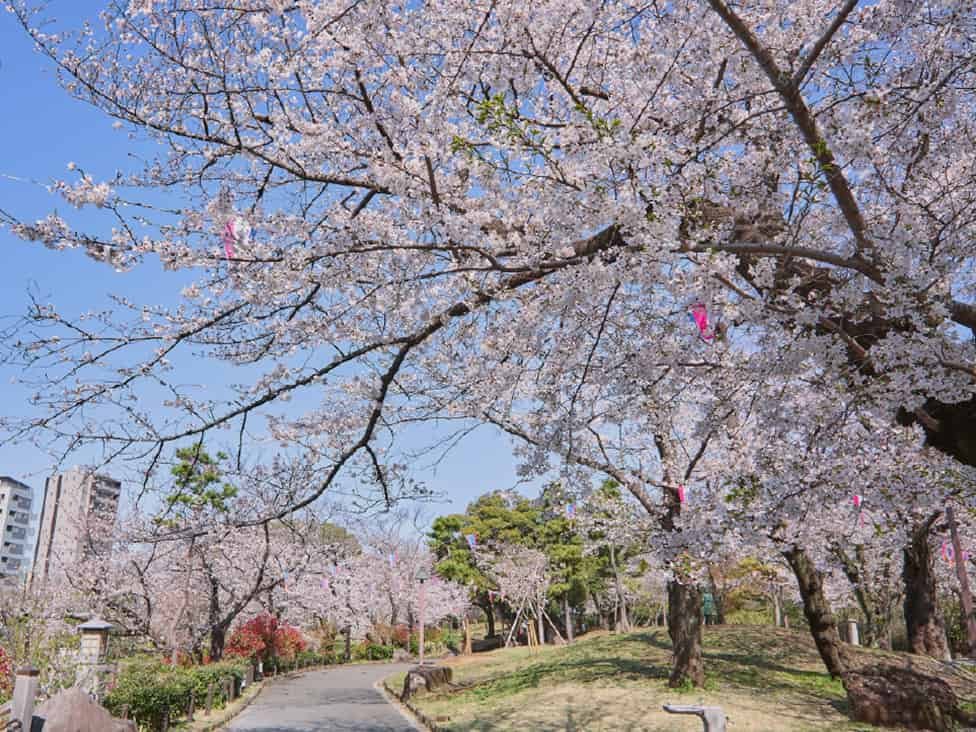 飛鳥山公園