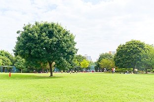 福栄スポーツの広場・いこいの広場