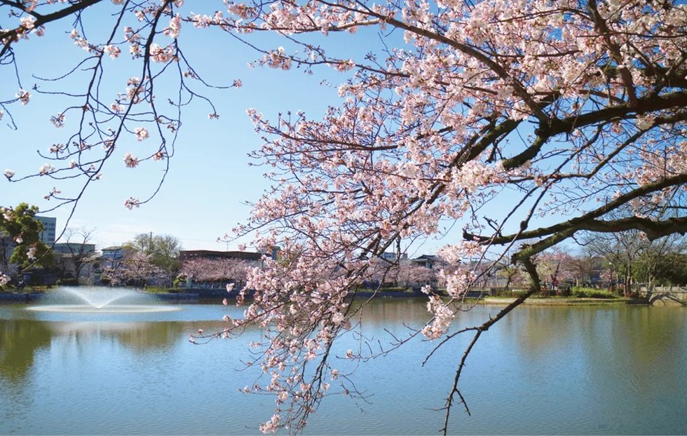 万代池公園