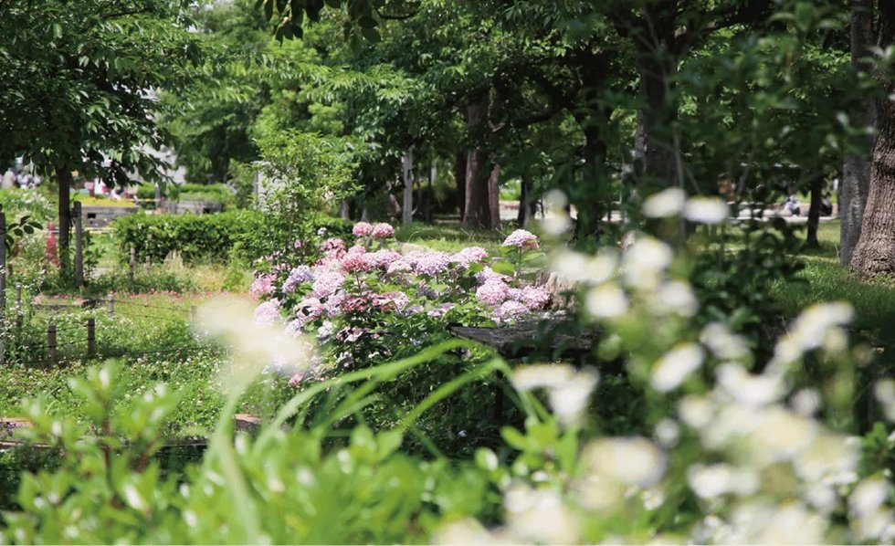 万領中央公園