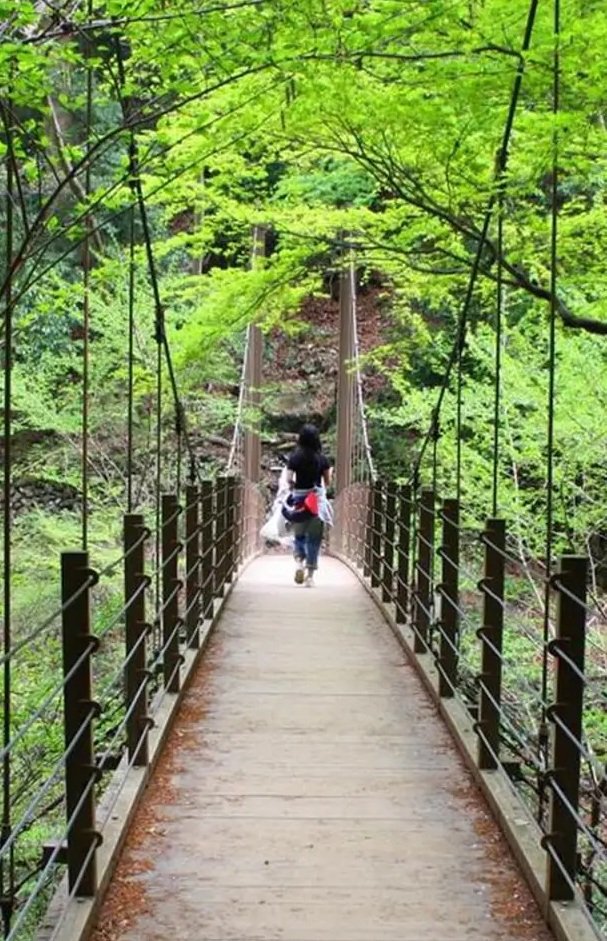 高尾山