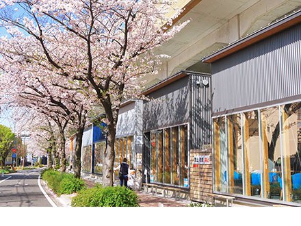 SAKUMACHI商店街