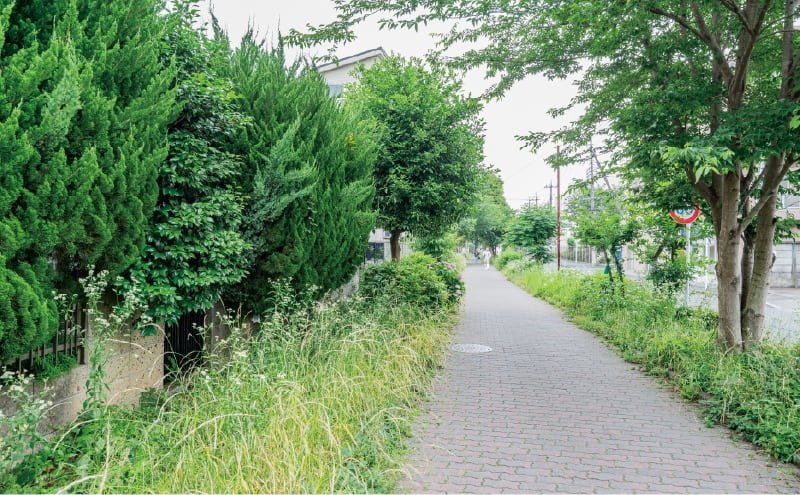 野火止緑道