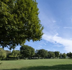 府中市郷士の森公園