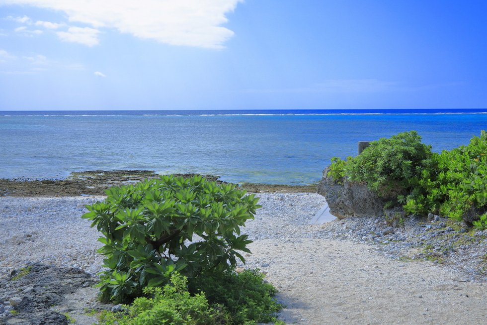 多田浜海岸