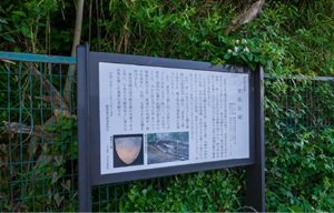 夏島貝塚（約2.9km）