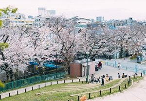 加賀公園