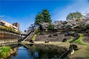 音無もみじ緑地