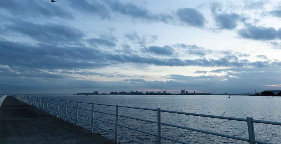 ふなばし三番瀬海浜公園