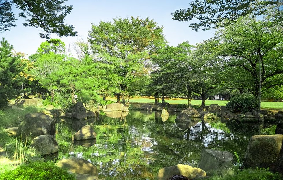 蕨市民公園