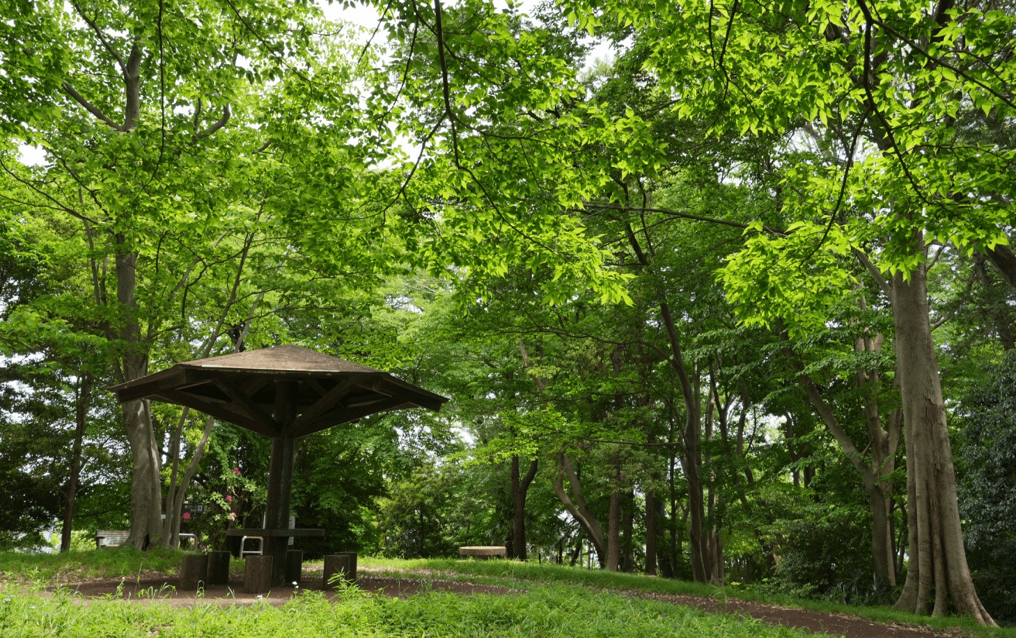伊勢山自然公園