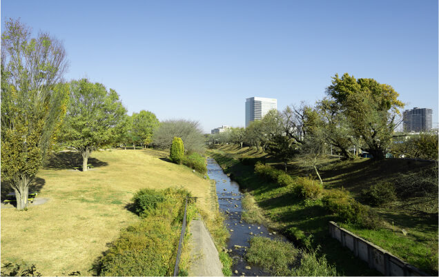 県立相模三川公園