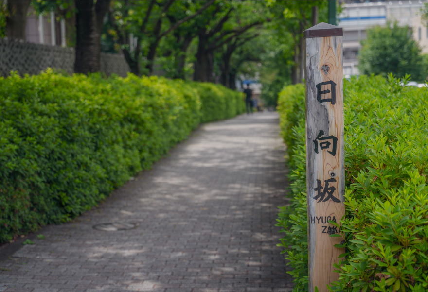 日向坂