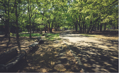 円山公園