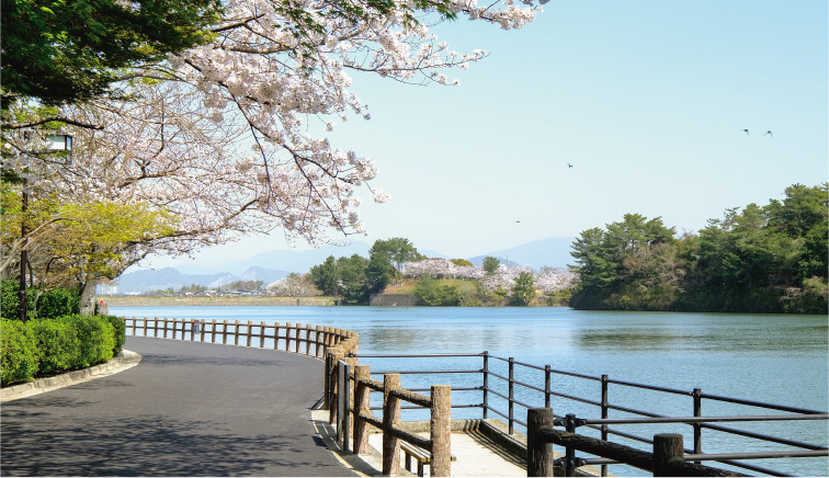 白水大池公園