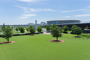 新横浜公園【提供写真】