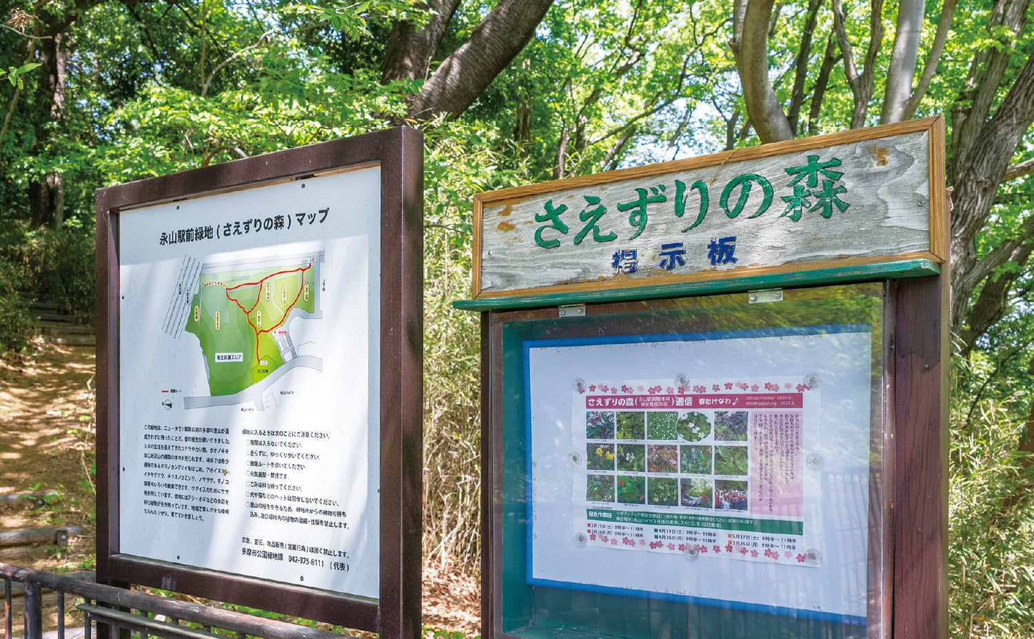 永山駅前緑地（さえずりの森）