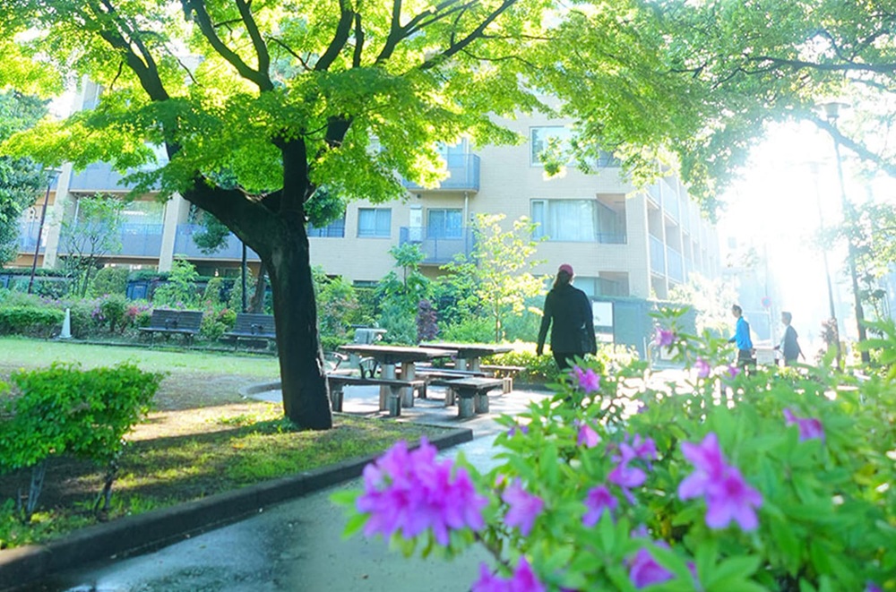 文庫の森