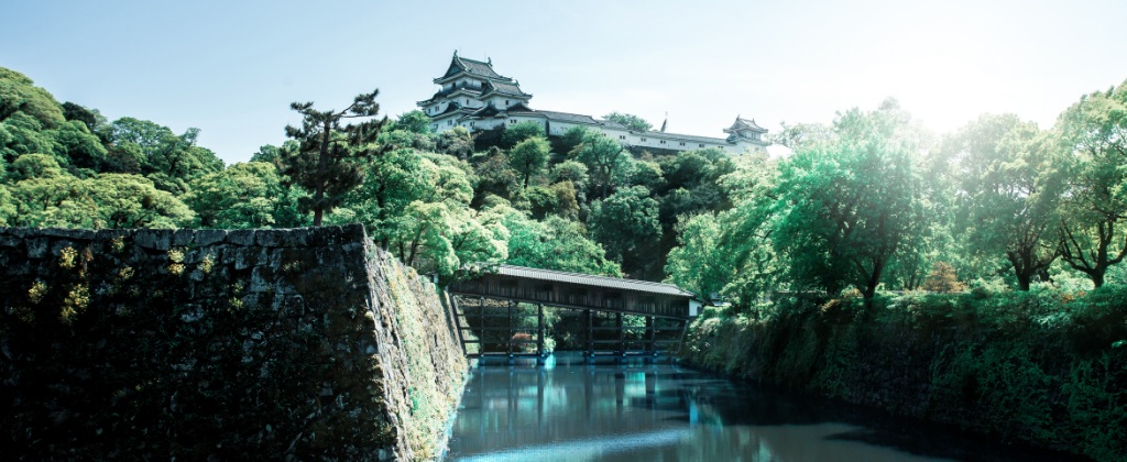 和歌山城公園