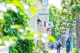 ゆりの木商店会