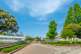 市立弥生小学校