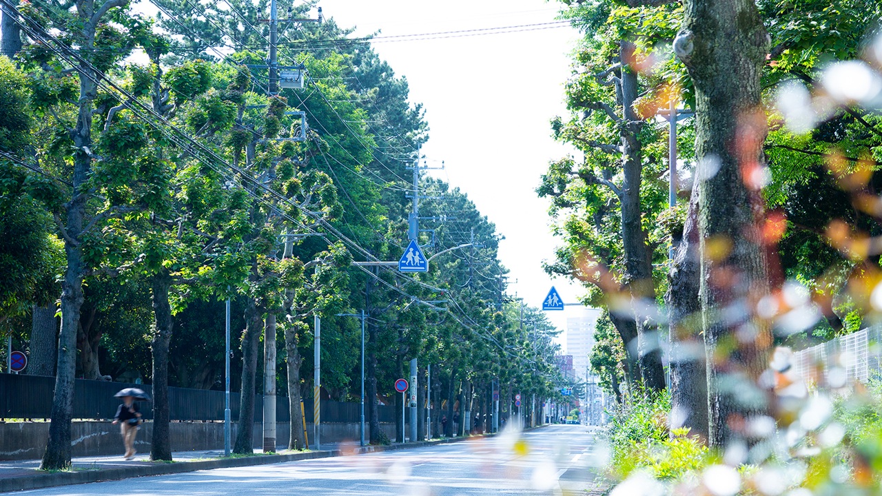 文教通り