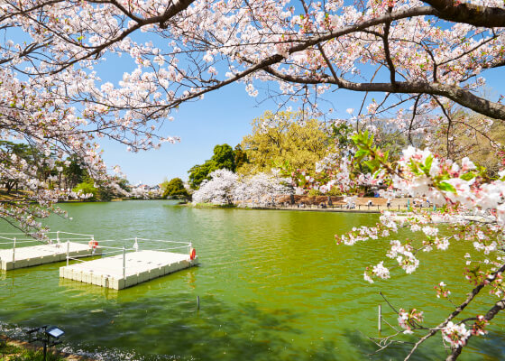 大宮公園